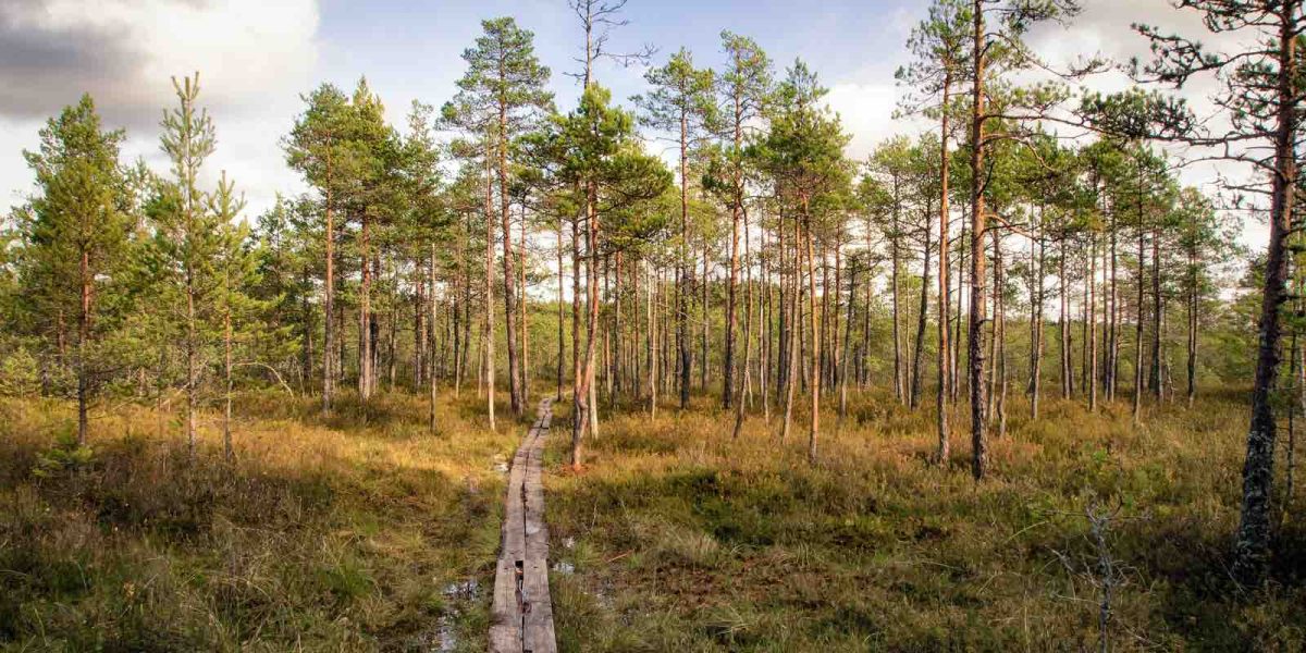 Suomen kansallispuistot